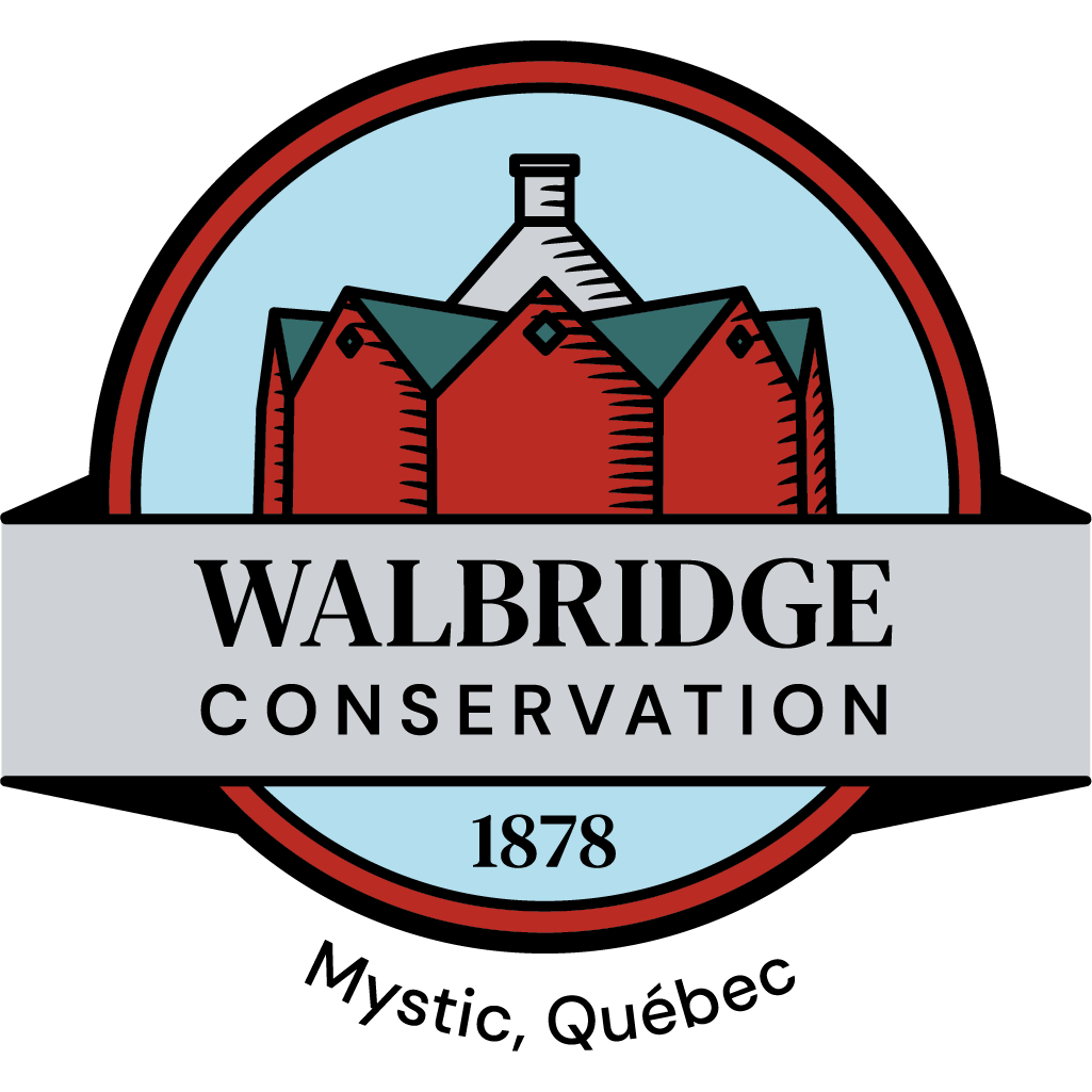 Walbridge