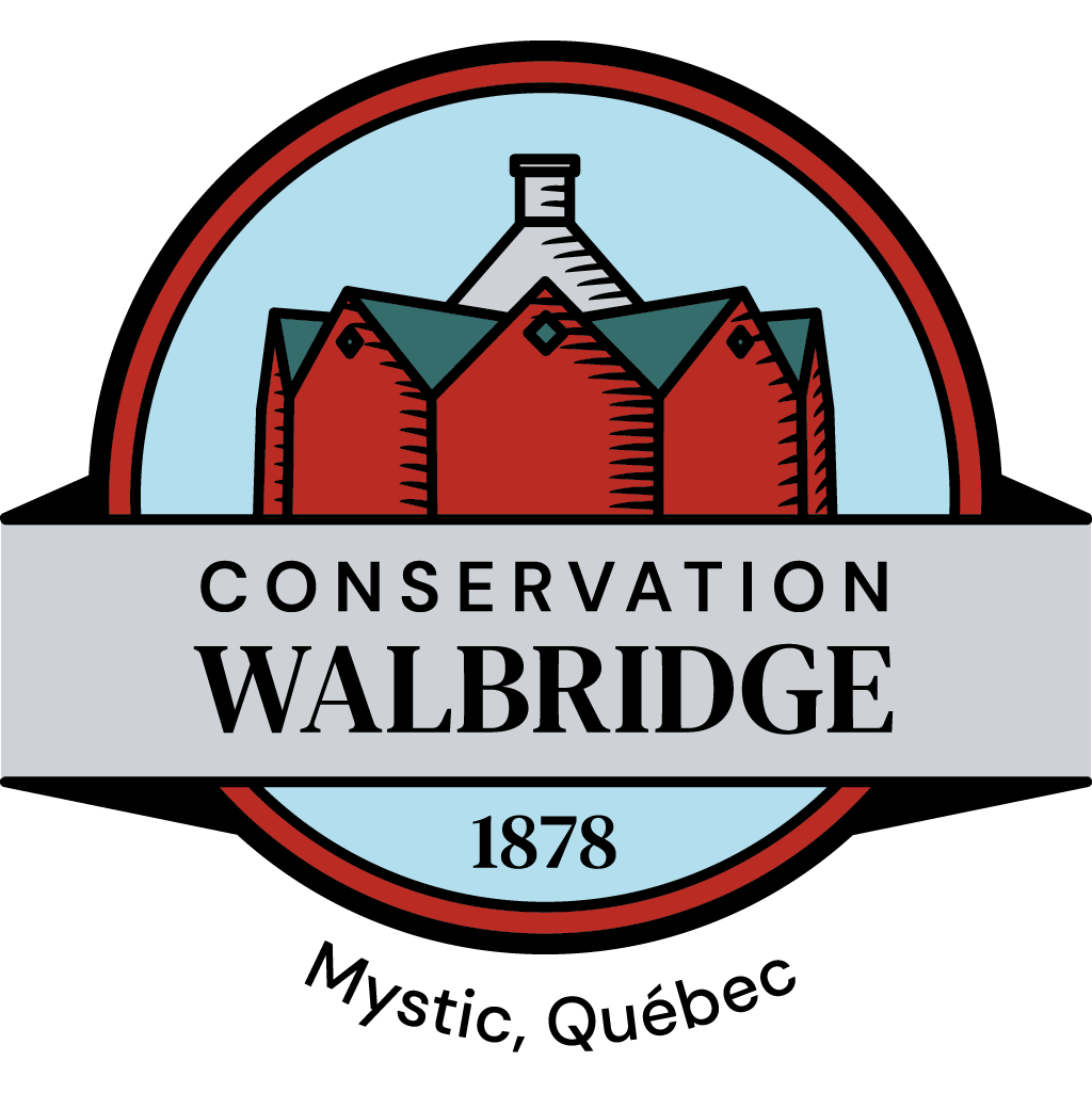 Walbridge